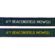 Scout and Guide Labels